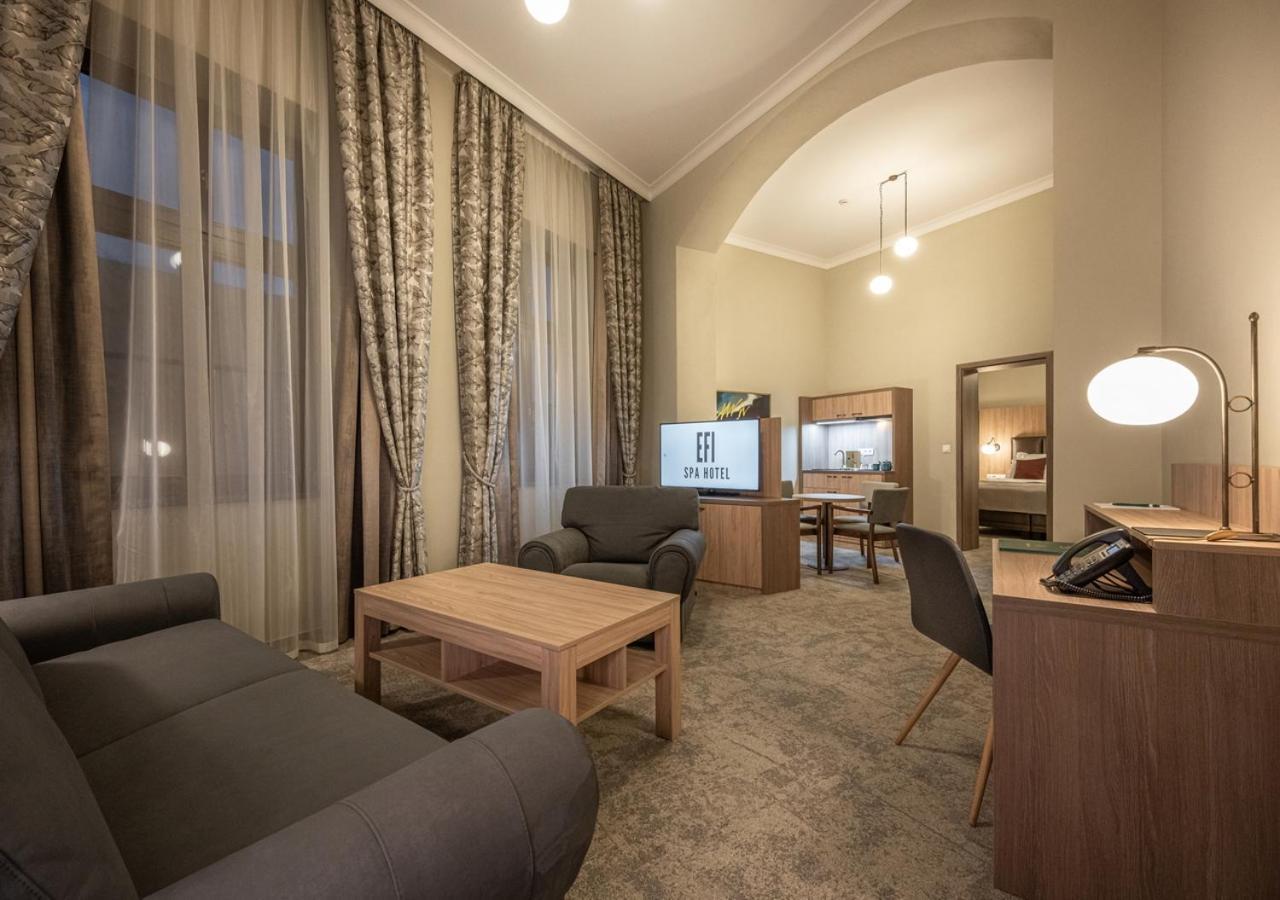 Efi Spa Hotel Superior & Pivovar Brno Extérieur photo