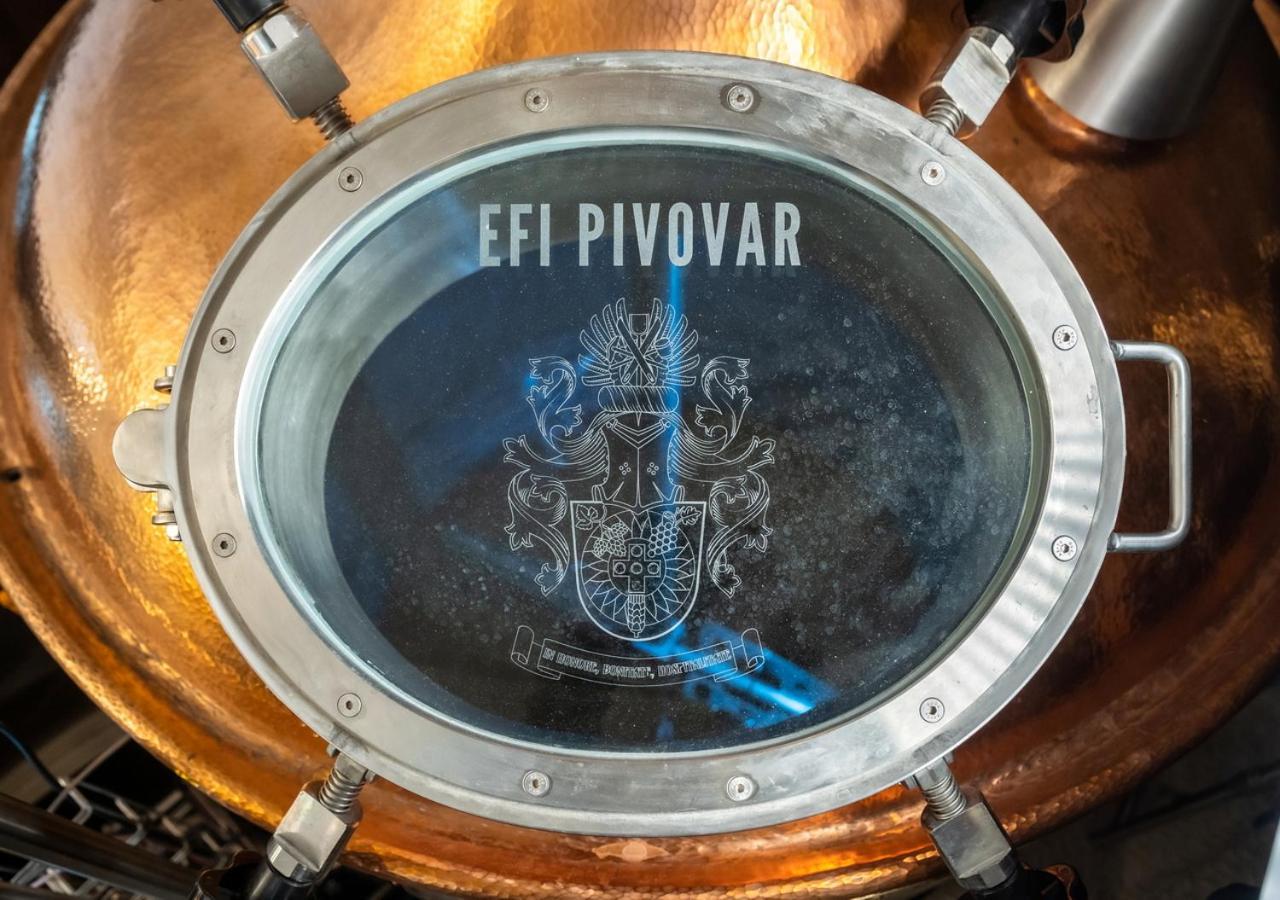 Efi Spa Hotel Superior & Pivovar Brno Extérieur photo